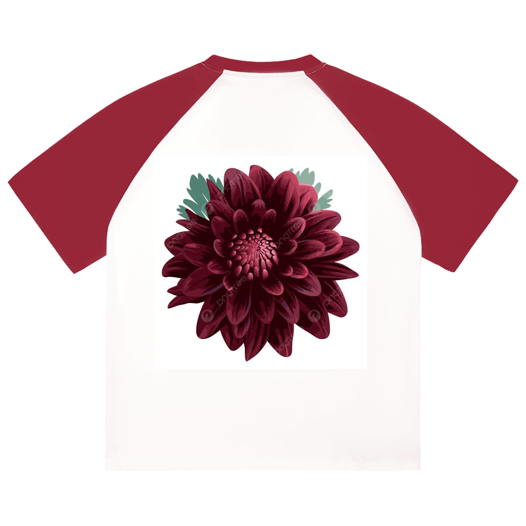Color-Blocked Raglan Sleeve T-Shirt