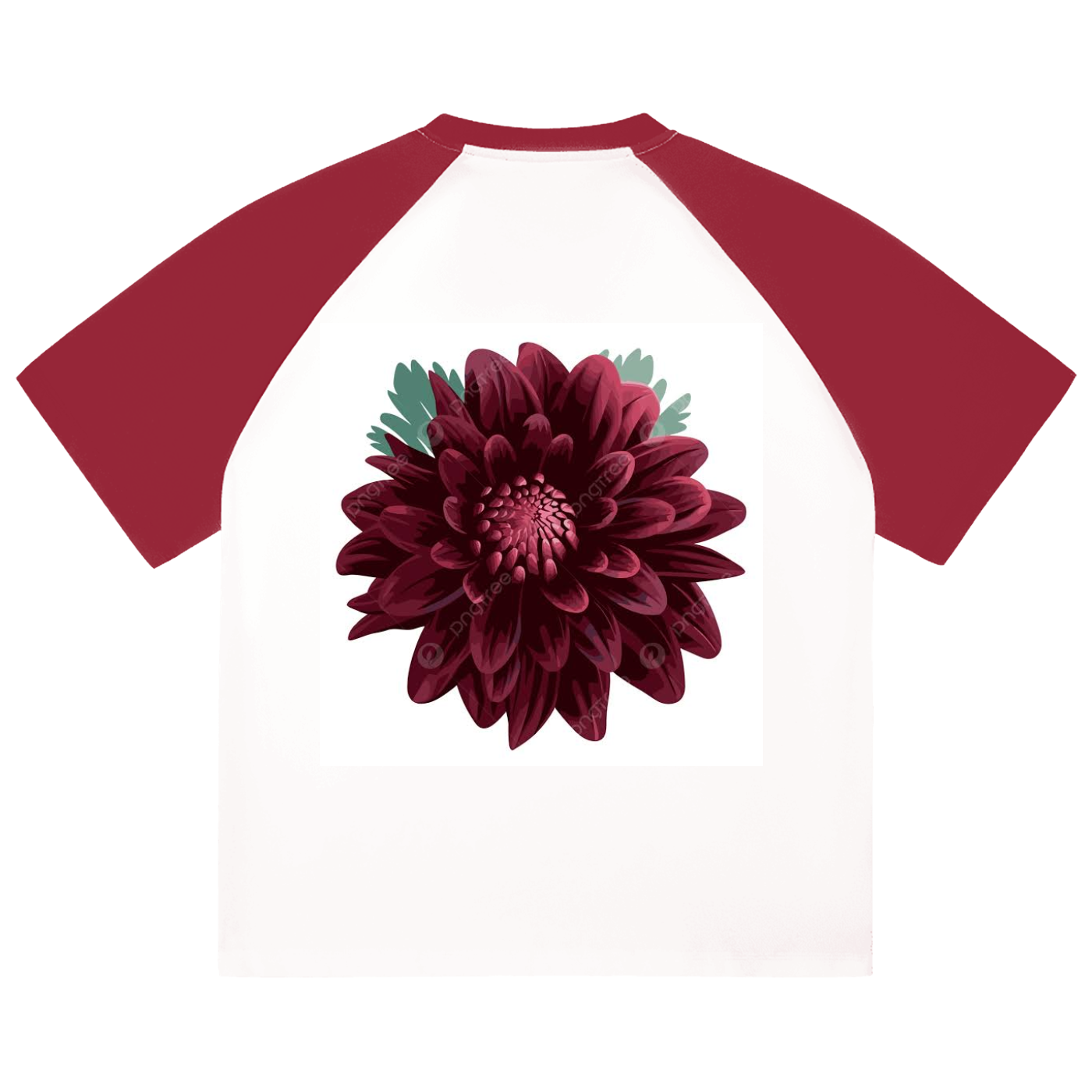 Color-Blocked Raglan Sleeve T-Shirt